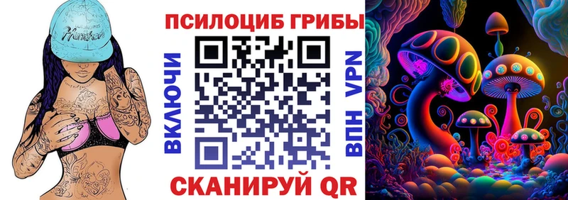 Псилоцибиновые грибы мицелий  блэк спрут как зайти  Каргат  где купить наркотик 